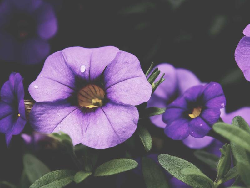 sudoku pattern learning