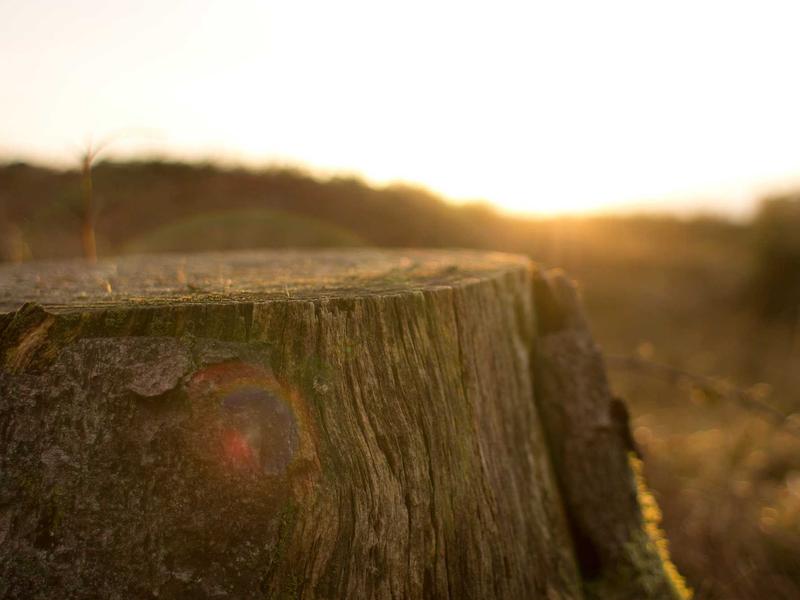 sudoku for beginners screenshot 3